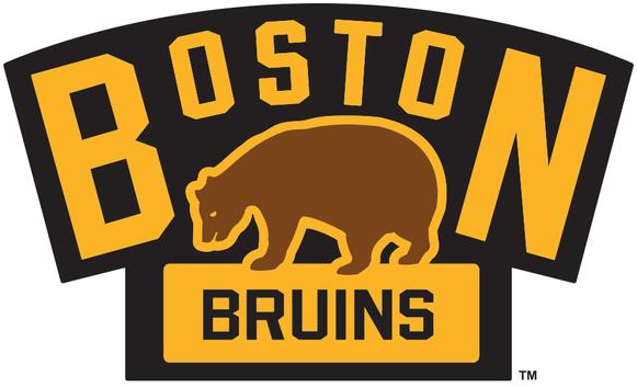 Boston Bruins 2016 Event Logo DIY iron on transfer (heat transfer)